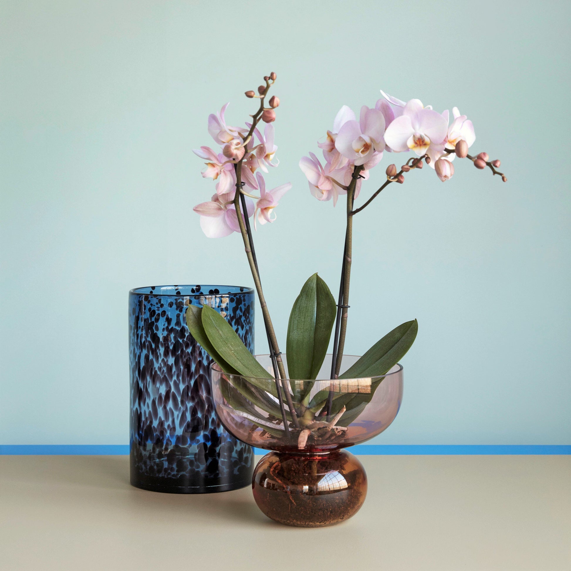 Hubsch Interior Nordic designer medium cylinder vase in blue glass with burgundy dot texture on shelf with orchid